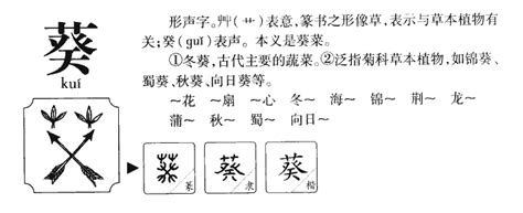 葵 五行|葵字的五行属什么